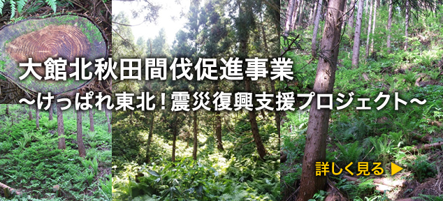 大館北秋田間伐促進事業 けっぱれ東北！震災復興支援プロジェクト